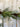 Winter Pinecone and Bay Leaf Forest Garland - TwoInspireYou