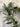 Winter Pinecone and Bay Leaf Forest Garland - TwoInspireYou