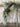 Snow-Capped Winter Pine Garland - TwoInspireYou