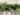 Long Needle Pine Christmas Garland - TwoInspireYou