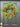 Bay Leaf Wreath with Red Berries and Pinecones – Rustic Holiday Décor | - TwoInspireYou