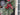 Frosted Winter Pine Wreath with Red Berries and Pinecones | - TwoInspireYou