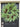 Rustic Long Needle Pine Wreath with Natural Pinecones - TwoInspireYou