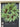 Rustic Long Needle Pine Wreath with Natural Pinecones - TwoInspireYou