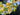Sunny Delight Yellow Tulip Wreath - TwoInspireYou