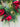 Red Magnolia Wreath with Gold Bay Leaf - TwoInspireYou