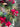 Red Magnolia Wreath with Gold Bay Leaf - TwoInspireYou