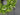 Greenery Wreath with White Flowers Spring Summer Front Door Decor - TwoInspireYou