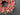 Pink Tulip Spring Wreath Front Door Floral Wreath with Greenery - TwoInspireYou