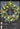 XL Year Round Bay Leaf and Eucalyptus Wreath - TwoInspireYou