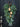 Large Pine Teardrop Wreath with Gold Cow Bells - TwoInspireYou
