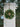 Festive Norfolk Pine Wreath with Gold Bells - TwoInspireYou