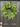 Spring Real Touch Tulip Wreath and Bay Leaf Greenery - TwoInspireYou