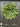 Spring Real Touch Tulip Wreath and Bay Leaf Greenery - TwoInspireYou