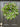 Natural Touch Pink Tulip Wreath and Bay Leaf Greenery - TwoInspireYou