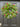 Spring Real Touch Tulip Wreath and Bay Leaf Greenery - TwoInspireYou
