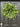 Spring Real Touch Tulip Wreath and Bay Leaf Greenery - TwoInspireYou