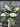 Cottage Cone Hydrangea Bouquet Wreath - TwoInspireYou