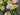Springtime Hydrangea Bouquet - TwoInspireYou