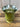 Green Glass Vase for Christmas Decorating - TwoInspireYou