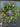 Spring Orchard Oranges & Blueberries Wreath - TwoInspireYou