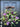 Wild Lilac Spring Wreath - TwoInspireYou