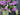 Spring Front Door Lilac Bucket Wreath - TwoInspireYou
