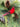 Red Cardinal Wreath Addition - TwoInspireYou
