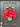 Country French Tulip Bucket - Front Door Tulip Pail - TwoInspireYou