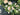 Cream Peony Wreath with Boxwood - TwoInspireYou
