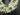 Spring Wedding Wreath - White Tulips & Boxwood - TwoInspireYou