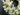 Spring Wedding Wreath - White Tulips & Boxwood - TwoInspireYou