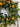 Fruitful Summer Wreath - TwoInspireYou