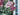 Rich Razzleberry Cone Hydrangea Wreath - TwoInspireYou