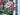 Rich Razzleberry Cone Hydrangea Wreath - TwoInspireYou