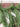Cedar Pine Mantle Garland | - TwoInspireYou