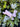 Cream Lilac Wreath with Bunnies - TwoInspireYou