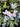 Cream Lilac Wreath with Bunnies - TwoInspireYou