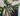 Cream Cone Hydrangea Garden Bouquet Wreath - TwoInspireYou