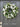 White Peony Wreath