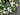 Lush Garden Peony Wreath - TwoInspireYou
