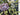 Spring Hydrangea Basket Wreath for Door - TwoInspireYou