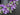 Purple Tulip Wreath with Small White Flowers, 24" Front Door Spring Tulip Wreath - TwoInspireYou