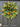 Lush Greenery Wreath Oranges and Blueberries - TwoInspireYou