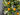Lush Greenery Wreath Oranges and Blueberries - TwoInspireYou
