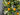 Lush Greenery Wreath Oranges and Blueberries - TwoInspireYou