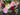 English Garden Bouquet Wreath with Ivy - TwoInspireYou