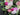 Summer Burst Wreath with Dahlias, Peonies & Magnolia Flowers - TwoInspireYou