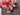 Valentine's Day Red and Pink Tulip Bucket Wreath - TwoInspireYou
