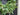 Spring Bay Leaf and Lily of the Valley Wreath - TwoInspireYou